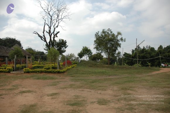 Img0038_CMP_WM