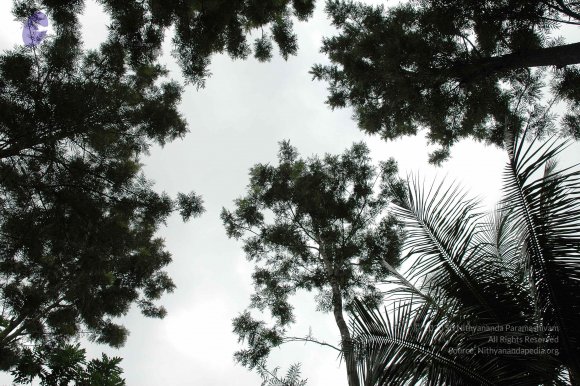 Img0063_CMP_WM
