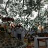 Jayanthi_2005_ashram (266)_CMP_WM