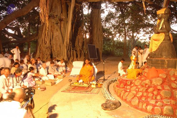 20050115_Photo_1052_DSC_0875_CMP_WM