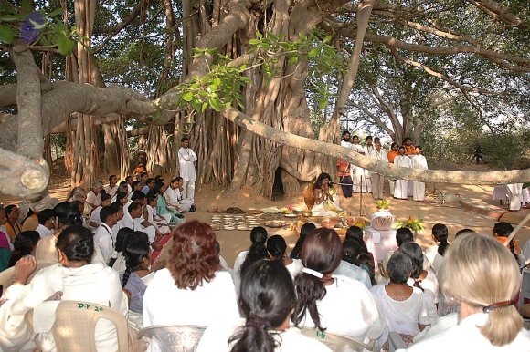 20050124_Photo_1010_Dsc_0109_CMP_WM