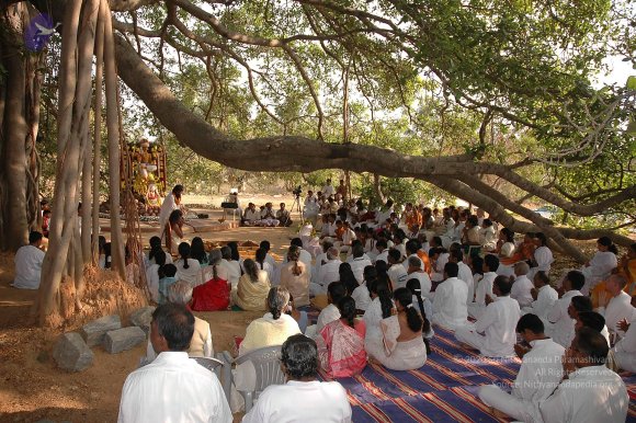 20050124_Photo_1015_Dsc_0122_CMP_WM