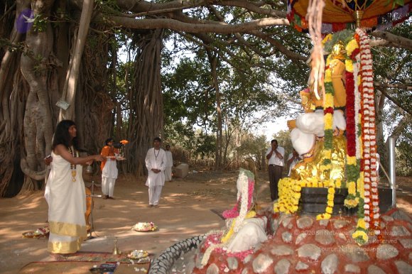 20050124_Photo_1020_Dsc_0182_CMP_WM