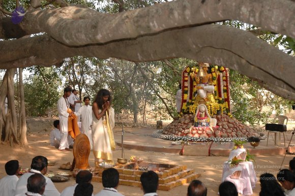 20050124_Photo_1033_Dsc_0169_CMP_WM