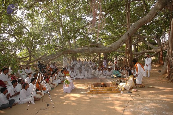 20050124_Photo_1043_Dsc_0123_CMP_WM