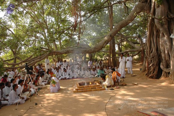 20050124_Photo_1050_Dsc_0155_CMP_WM