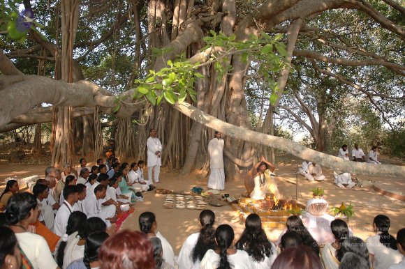 20050124_Photo_1055_Dsc_0126_CMP_WM