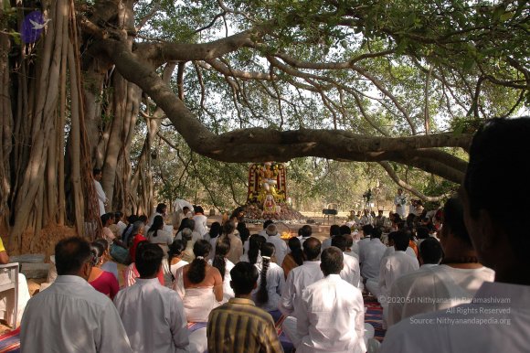 20050124_Photo_1062_Dsc_0146_CMP_WM