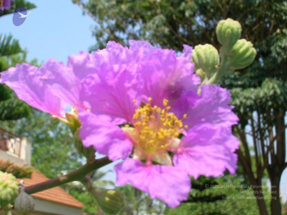DSCN0109_CMP_WM