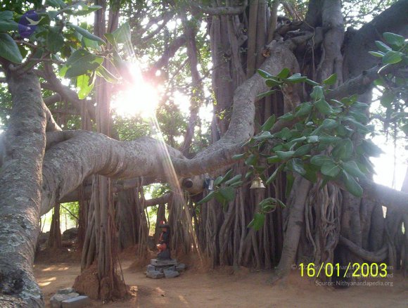 20050323_Photo_1000_100_1636_CMP_WM