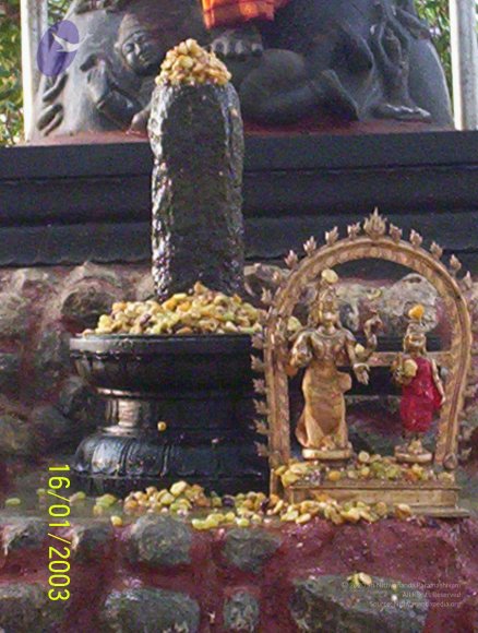 20050323_Photo_1006_100_1659_CMP_WM