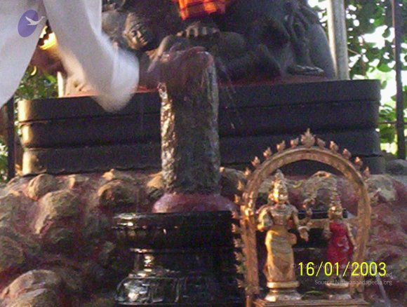 20050323_Photo_1007_100_1672_CMP_WM