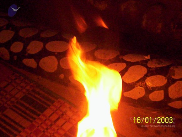 20050323_Photo_1009_100_1704_CMP_WM