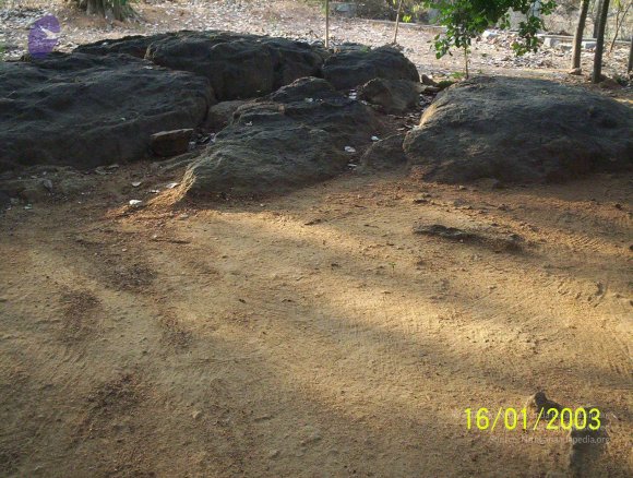 20050323_Photo_1016_100_1633_CMP_WM