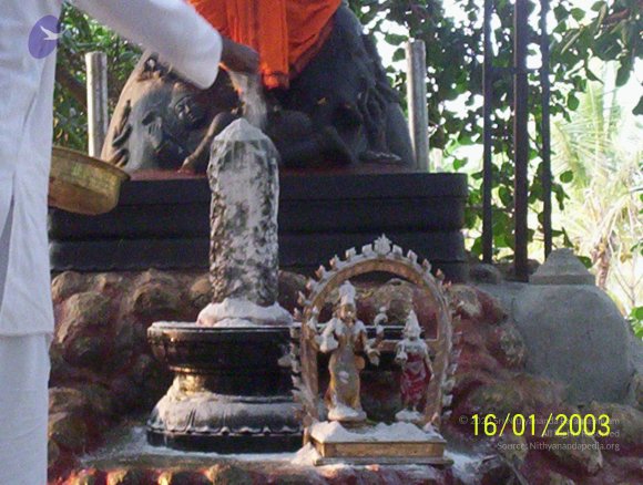 20050323_Photo_1047_100_1662_CMP_WM