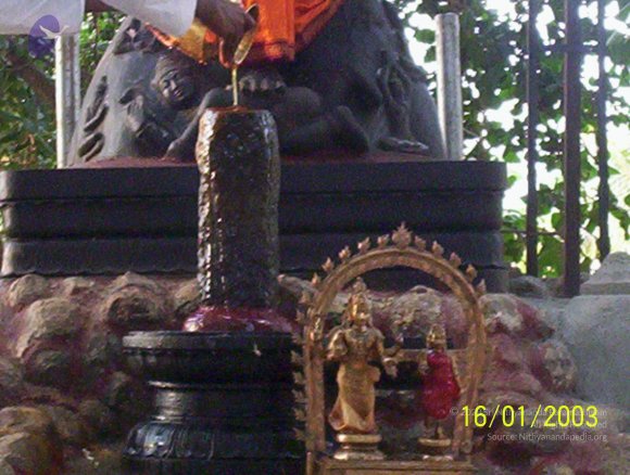 20050323_Photo_1049_100_1649_CMP_WM