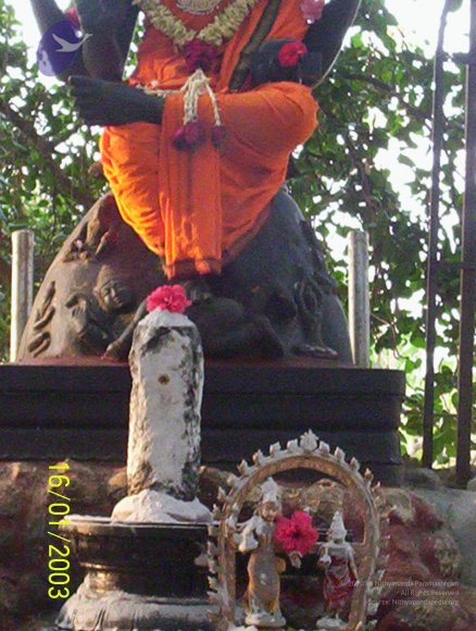 20050323_Photo_1057_100_1668_CMP_WM