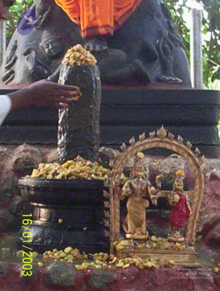 20050323_Photo_1066_100_1660_CMP_WM