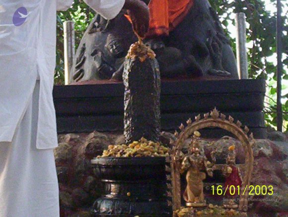 20050323_Photo_1067_100_1657_CMP_WM