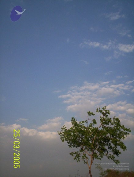 20050325_Photo_1001_100_1740_CMP_WM