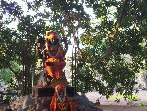 20050325_Photo_1005_100_1748_CMP_WM