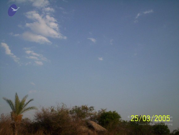 20050325_Photo_1010_100_1745_CMP_WM