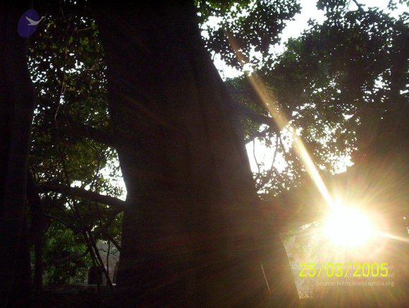 20050325_Photo_1030_100_1750_CMP_WM