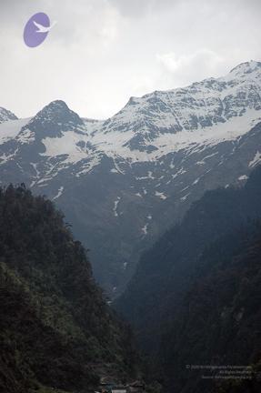Img2071_CMP_WM