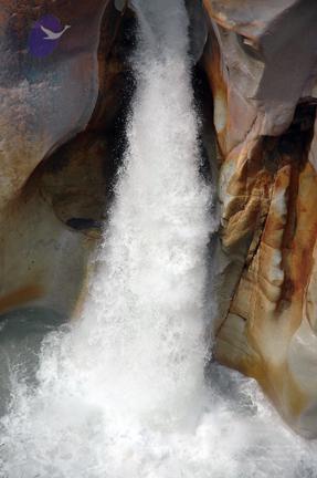 Img0943_CMP_WM