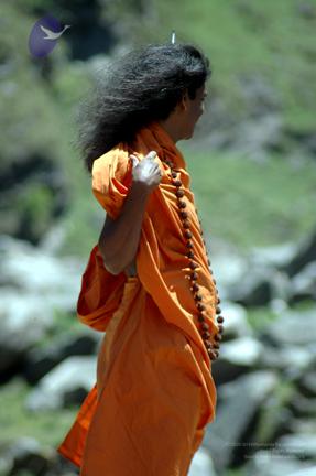 Img1227_CMP_WM