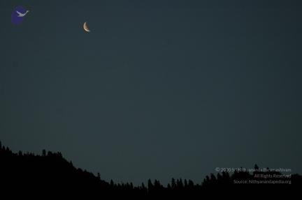 Img0984_CMP_WM