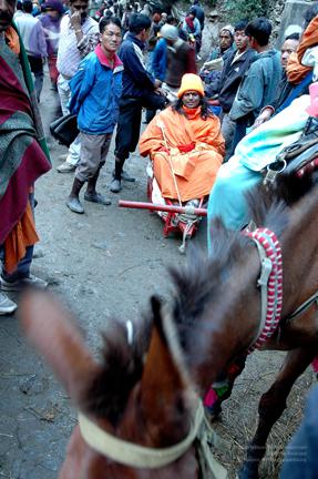 Img1536_CMP_WM