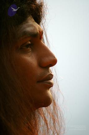 Img1363_CMP_WM