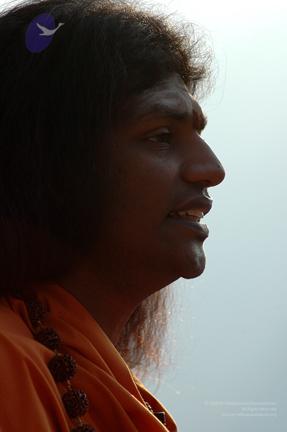Img1412_CMP_WM