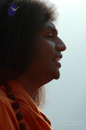 Img1413_CMP_WM