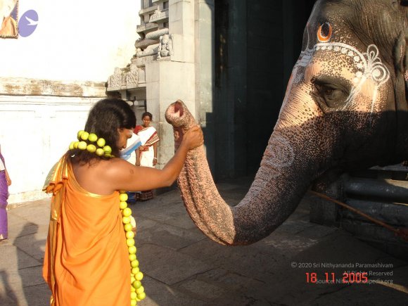 20051118_Photo_1071_Ananda Ula 2005 Kanchipuram 009_CMP_WM