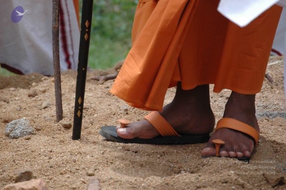 20060815_Photo_1017_DSC_0290_CMP_WM