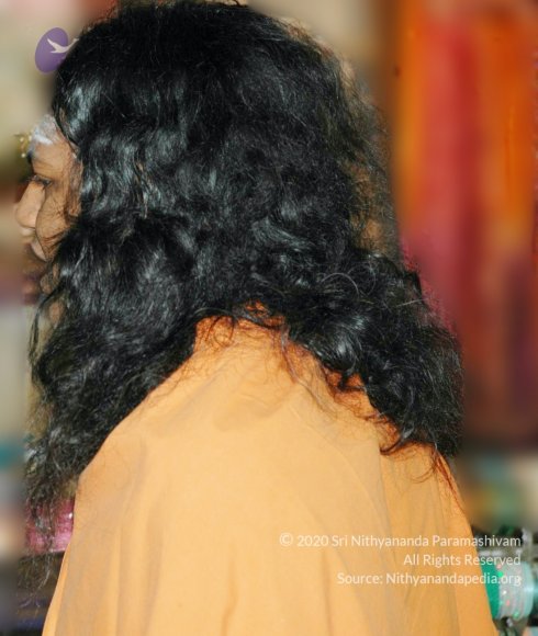 DSC_0012_CMP_WM
