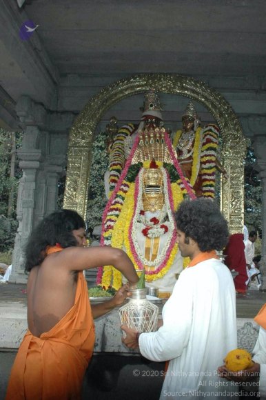 Flag-Hoisting-by-Swamiji_Photo_1015_DSC_0394_CMP_WM