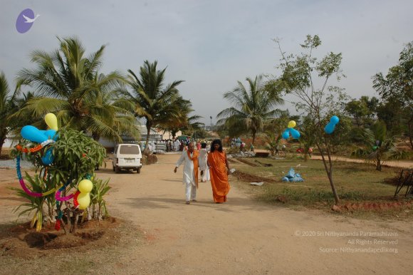 20061224_Photo_1012_DSC_2390_CMP_WM