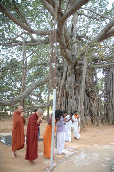 20061224_Photo_1026_DSC_2591_CMP