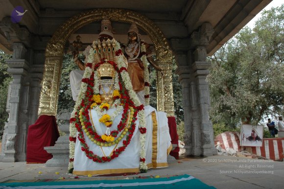 20061224_Photo_1039_DSC_2539_CMP_WM