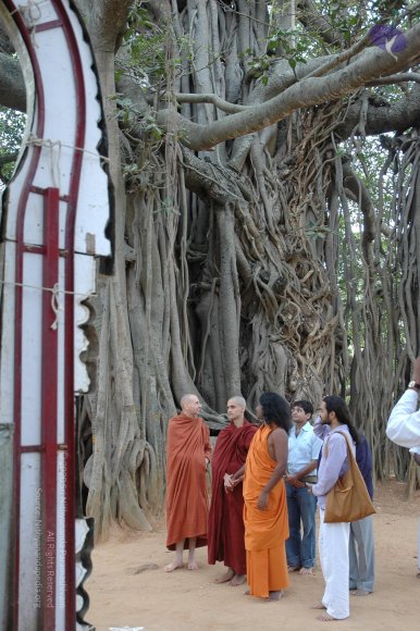 20061224_Photo_1056_DSC_2587_CMP_WM