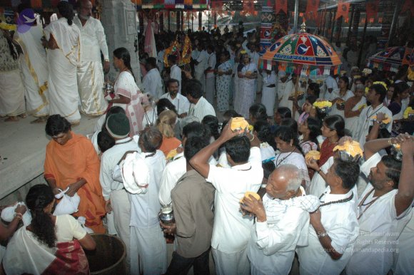 20061231_Photo_1006_DSC_7650_CMP_WM