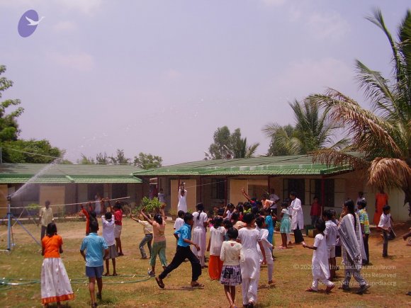 20060503_Photo_1022_P3160128_CMP_WM