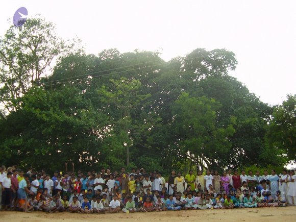 20060503_Photo_1035_P3170323_CMP_WM