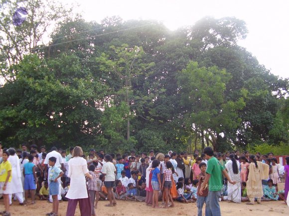 20060503_Photo_1039_P3170308_CMP_WM