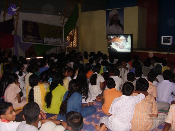 20060503_Photo_1043_P3170279_CMP_WM