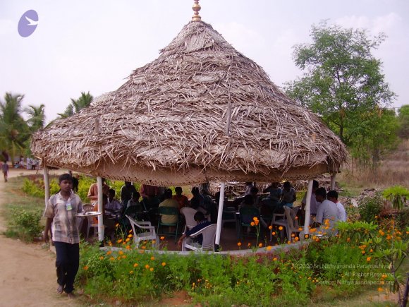 20060503_Photo_1073_P3160221_CMP_WM