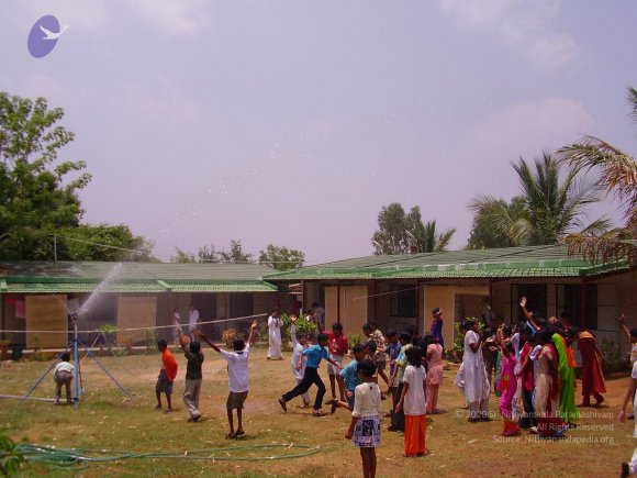 20060503_Photo_1098_P3160124_CMP_WM